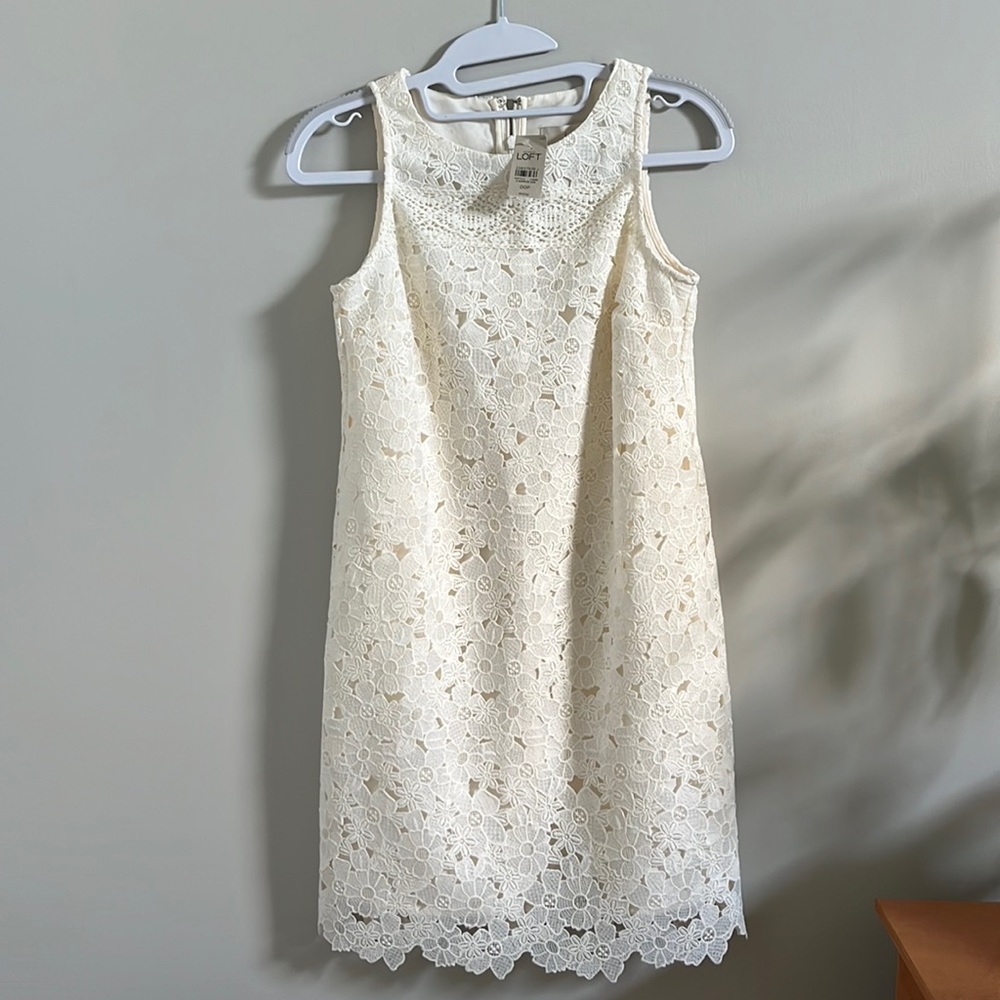 Loft lace sleeveless dress